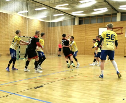 BlackBulls vs Stiere letztes Jahr - Foto Axel Nissler