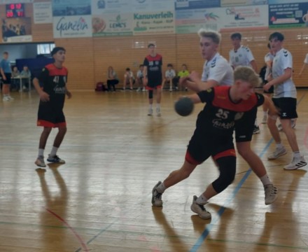 Danke_Swiatlak_fuer_12_Tore