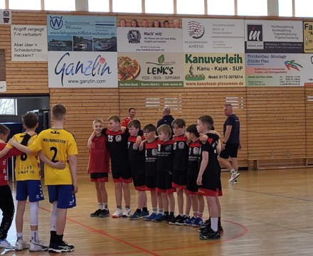 Vizemeister